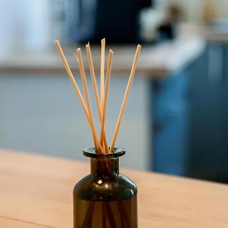 Centre Historique Vue Cathédrale Appartement