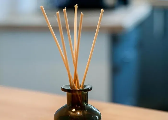 Centre Historique Vue Cathedrale Apartment